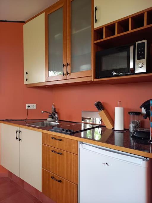 Þorsmoerk Farm 12 Min From Akureyri Apartment Svalbarthseyri ภายนอก รูปภาพ