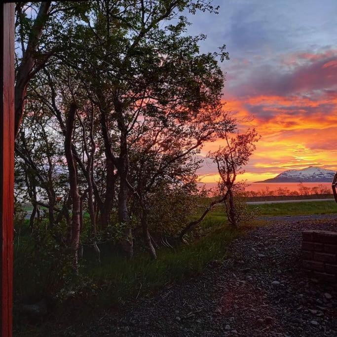 Þorsmoerk Farm 12 Min From Akureyri Apartment Svalbarthseyri ภายนอก รูปภาพ