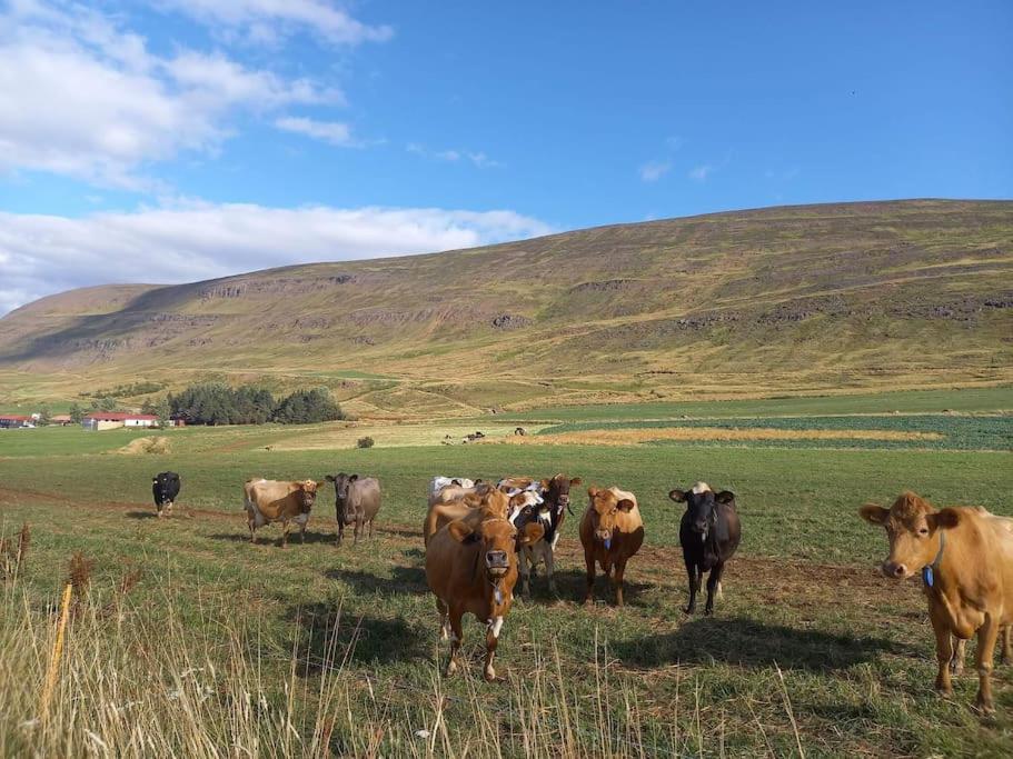 Þorsmoerk Farm 12 Min From Akureyri Apartment Svalbarthseyri ภายนอก รูปภาพ
