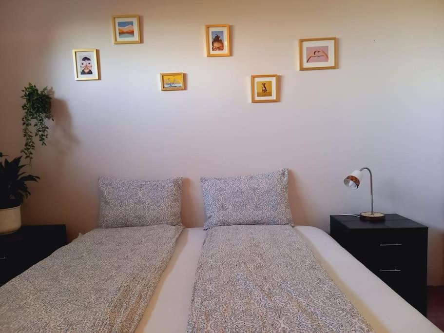 Þorsmoerk Farm 12 Min From Akureyri Apartment Svalbarthseyri ภายนอก รูปภาพ